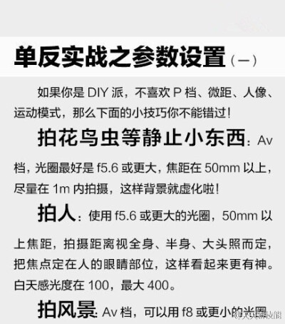 听说你有个单反，但是还不太会用？！！