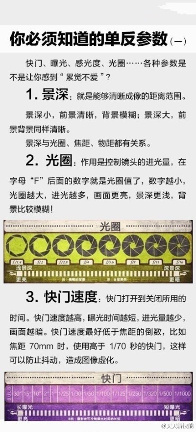 听说你有个单反，但是还不太会用？！！