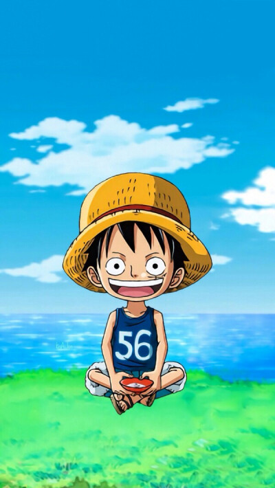 one piece