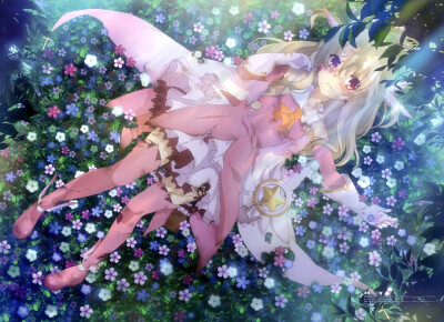Fate/kaleid liner 魔法少女☆伊莉雅~flower sora♪高清动漫壁纸欣赏♪