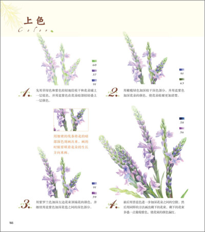 涂鸦 色彩 水彩 手绘 铅笔 彩铅 彩色