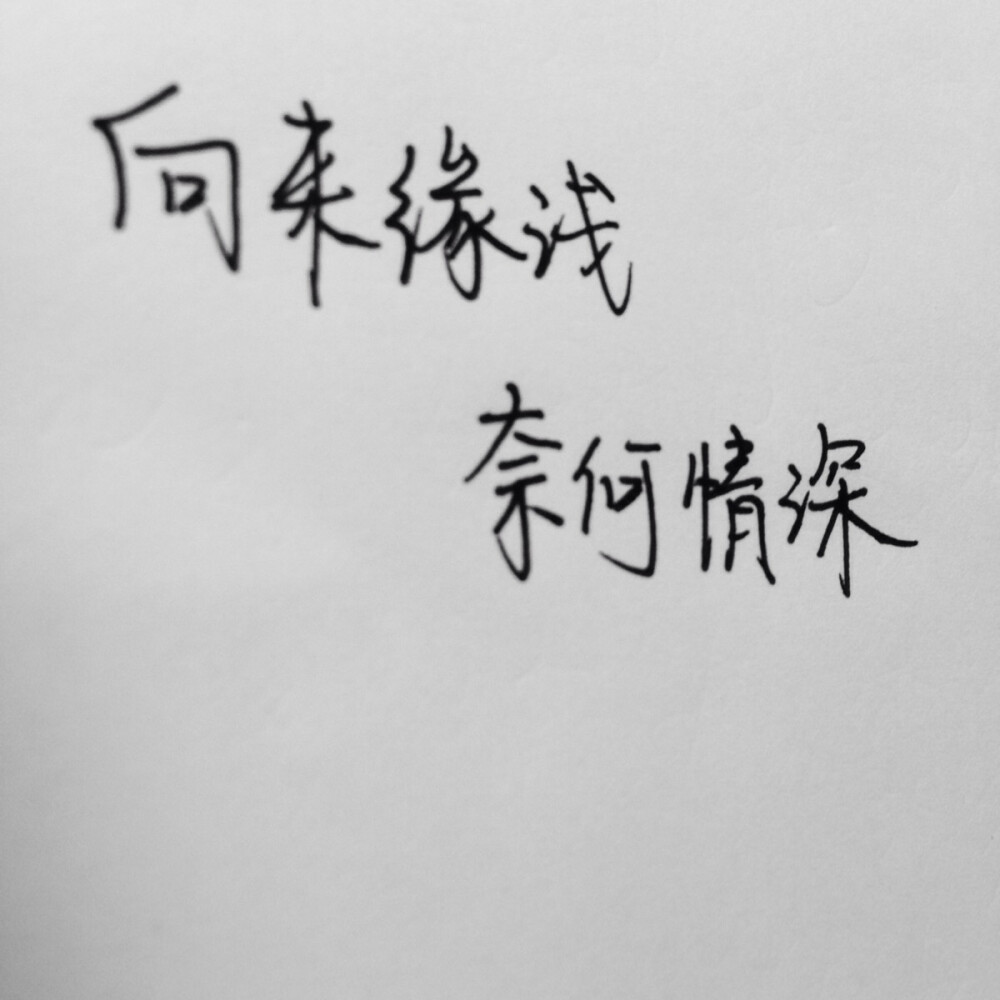 向来缘浅奈何情深