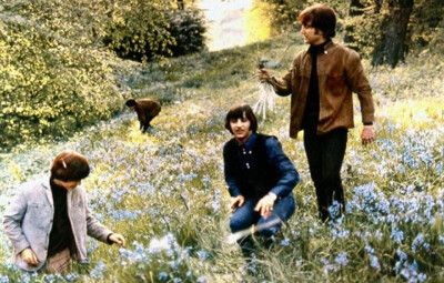 The Beatles