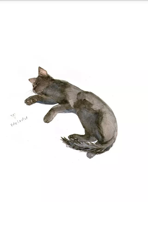 高清壁纸 猫 手绘猫 小清新 头像 彩笔画 白猫 猫的睡姿 可爱