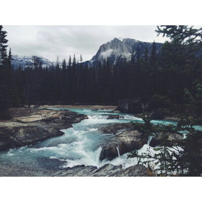 yoho national park