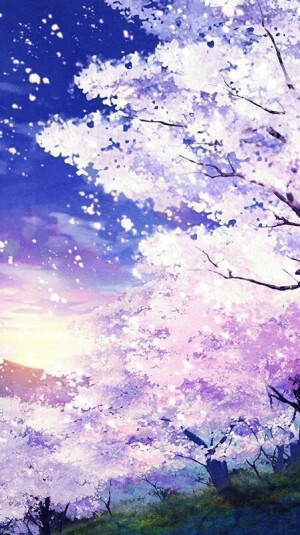 ° 樱花咒 * ·゜°○