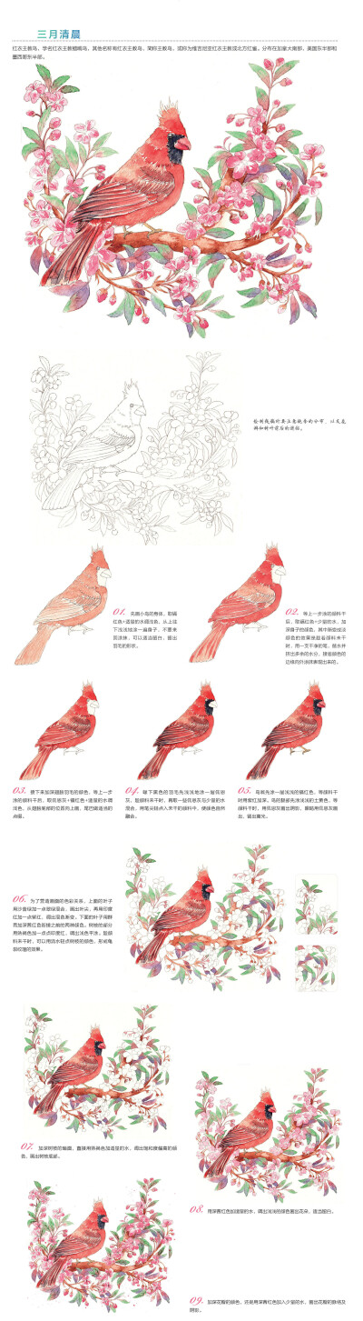 本案例摘自人民邮电出版社出版、爱林文化主编的《浪漫水彩课——花间鸟儿手绘技法》http://product.dangdang.com/23751115.html