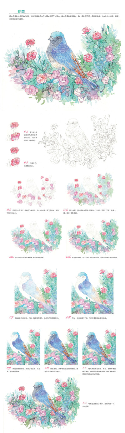 本案例摘自人民邮电出版社出版、爱林文化主编的《浪漫水彩课——花间鸟儿手绘技法》http://product.dangdang.com/23751115.html