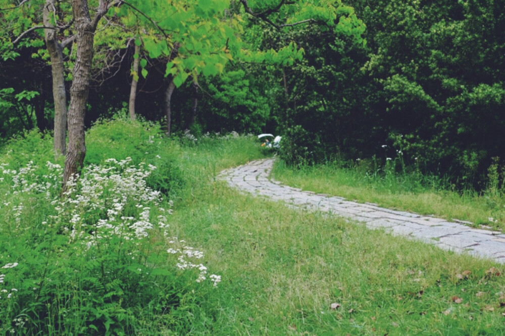 疑是桃源路。2015春，野生动物园某处幽静小路