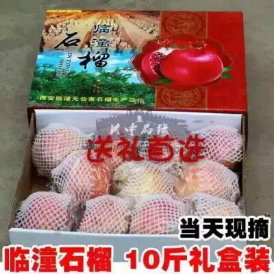 都是现摘的哦