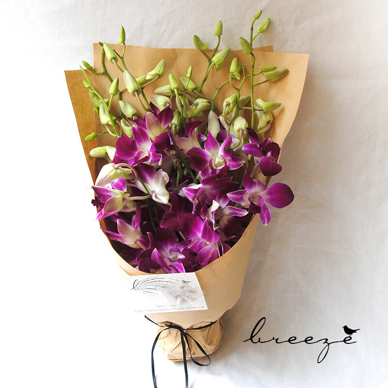 breeze自然风花盒小花束紫洋兰