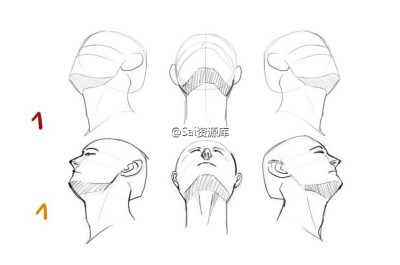 头部画法