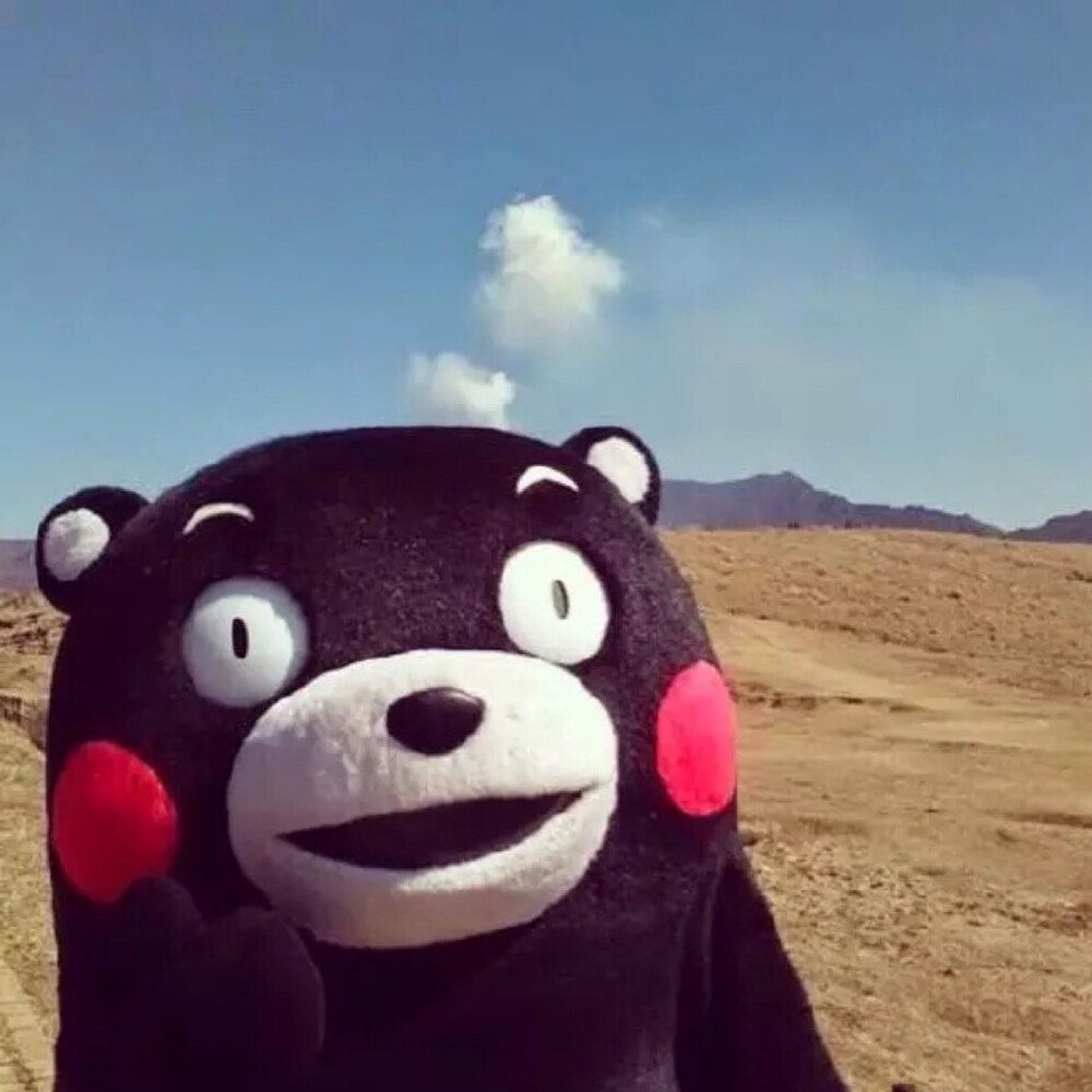 熊本熊 kumamon 熊本 可爱～ 头像