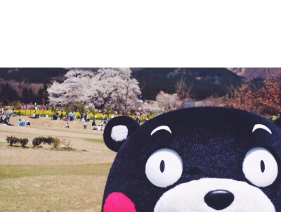 熊本熊 kumamon 熊本 可爱～