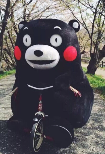 熊本熊 kumamon 熊本 可爱～