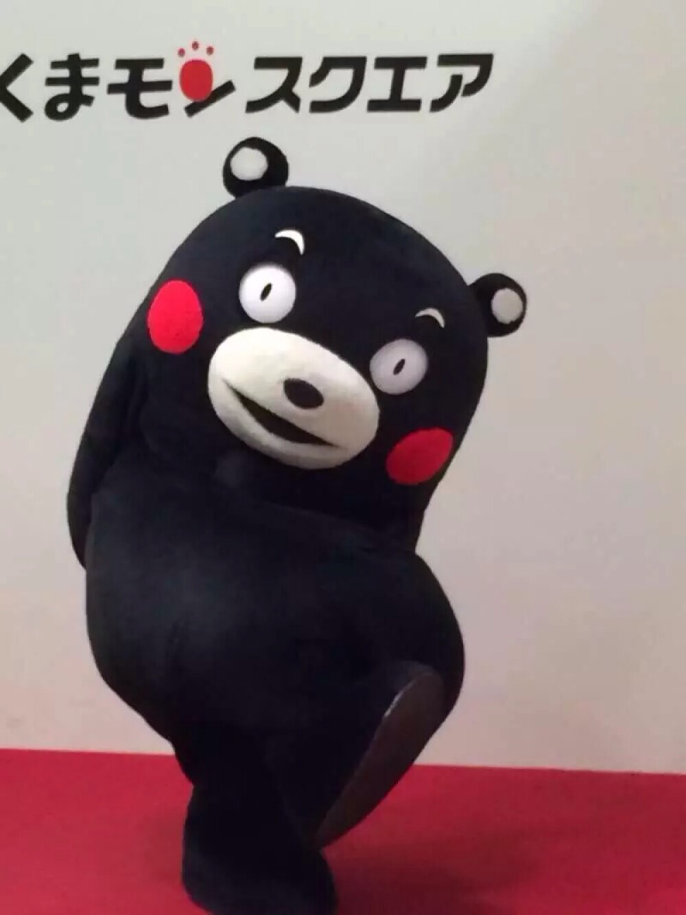 熊本熊 kumamon 熊本 可爱～