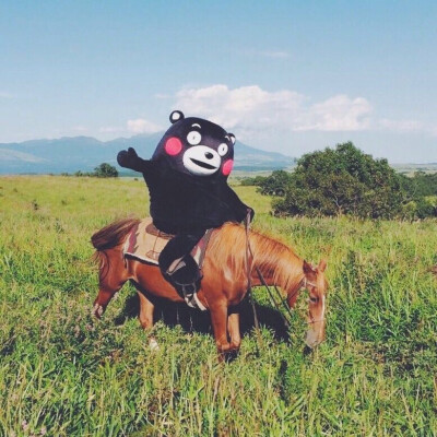 熊本熊 kumamon 熊本 可爱～ 头像