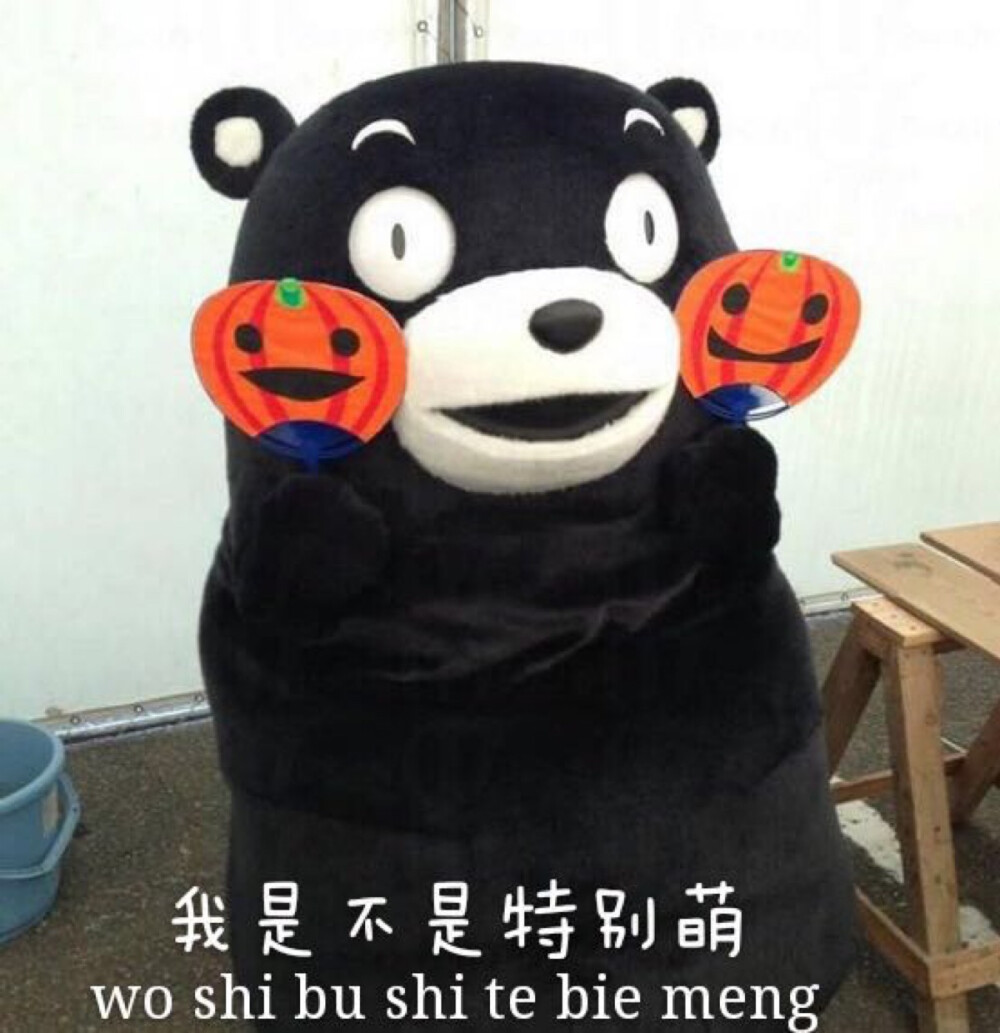 熊本熊 kumamon 熊本 可爱～