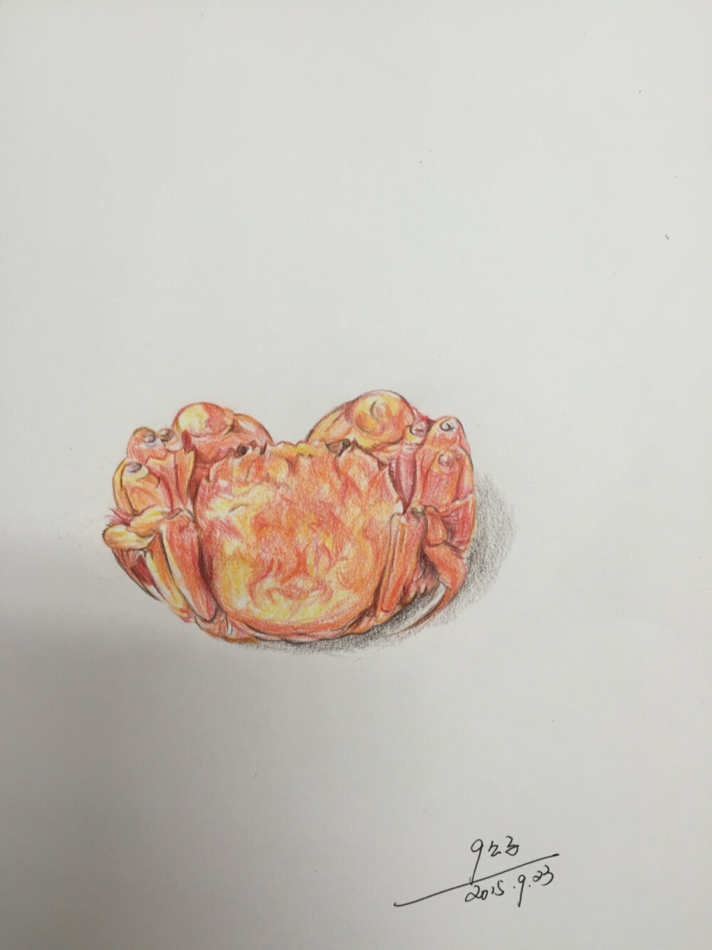 彩铅临摹 哎 效果没有水彩好 而且没画醋碟啊