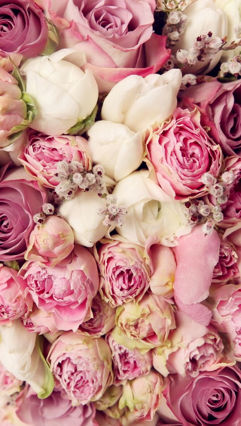 iphone壁纸简约设计花草树