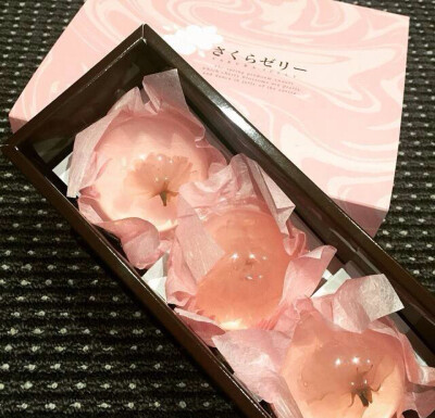 #dessert# 日本上容太楼的樱花布丁 别样精致