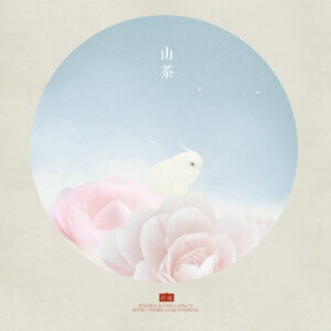 《花》谈雅清新纯结，高浓度的纯丨来自插画师朴缜