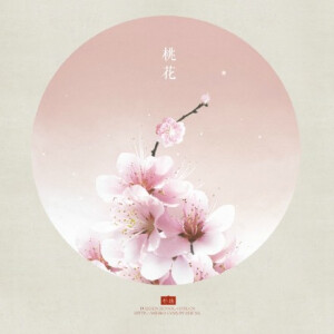    桃花 ‖来自插画师朴缜《花》