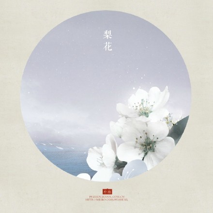  梨花 ‖来自插画师朴缜《花》