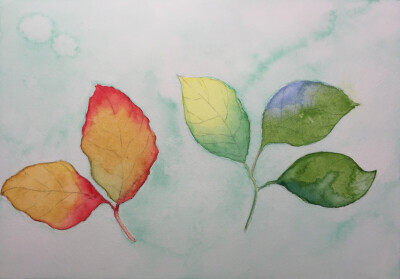 落叶一叶知秋。