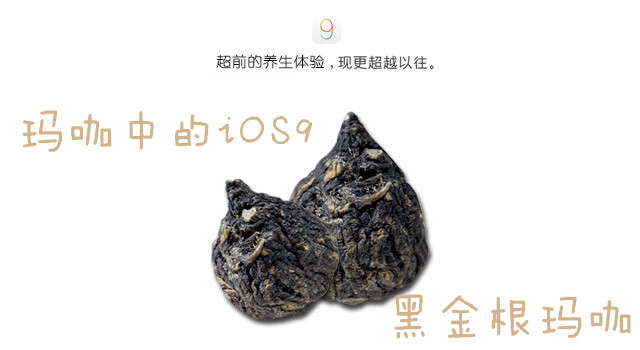 我是玛咖中的iOS9哟~