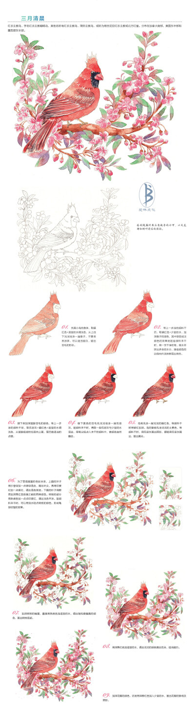 本案例摘自人民邮电出版社出版、爱林文化主编的《浪漫水彩课——花间鸟儿手绘技法》--爱林文化制作