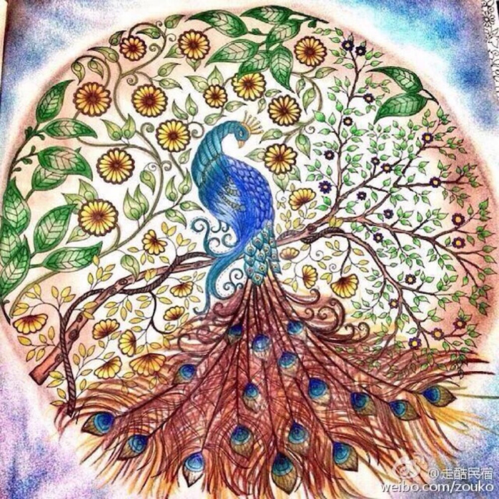 秘密花园简单好看大神