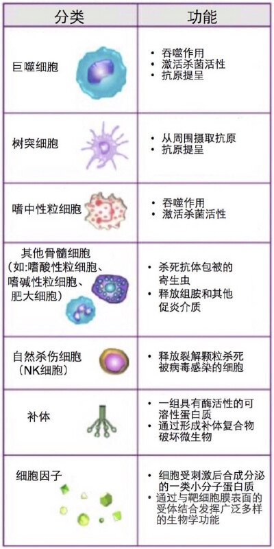 细胞的作用