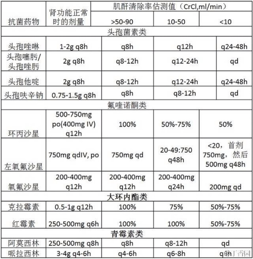 抗生素对肾功能的影响