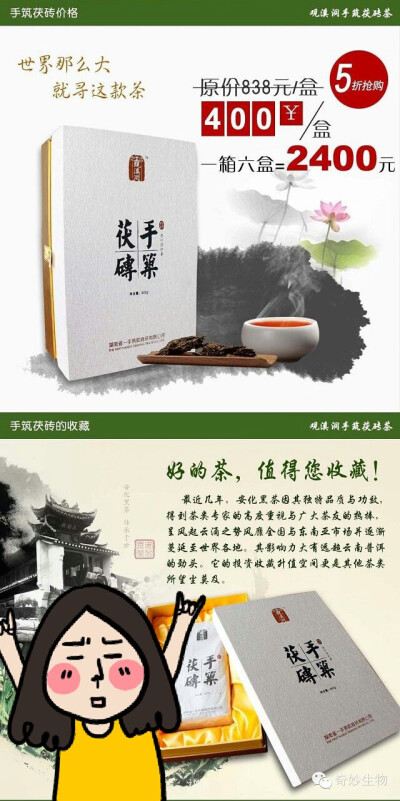 观溪洞手筑茯砖茶