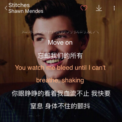 英文歌推荐：Stitches-Shawn Mendes