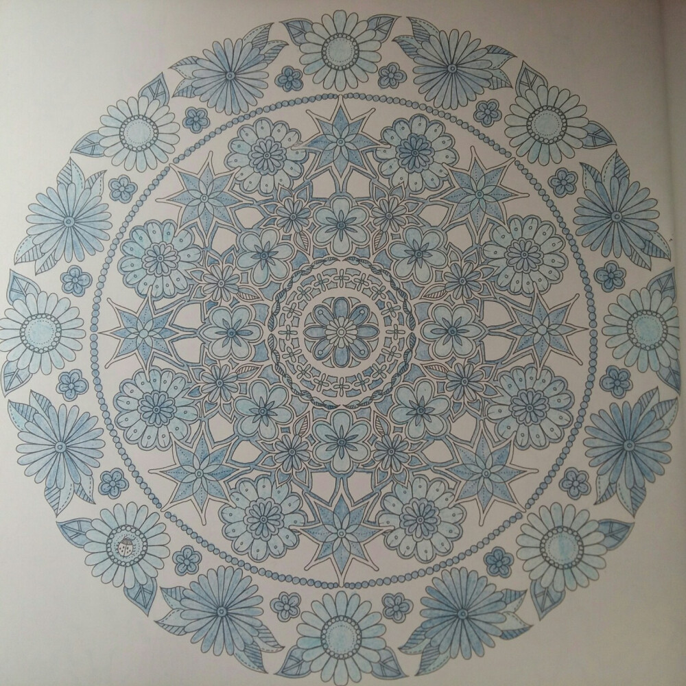 秘密花园青花瓷