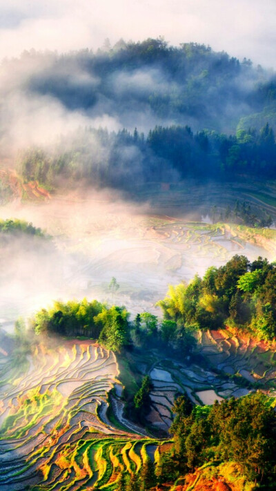 华为壁纸~大屏手机壁纸~高清~风景~不要错过哦~