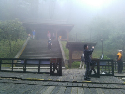 阿里山。神木小站