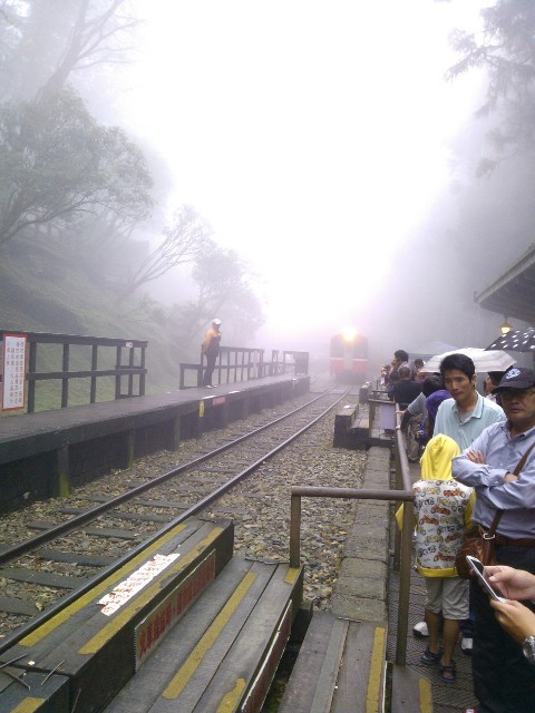 阿里山。神木小站