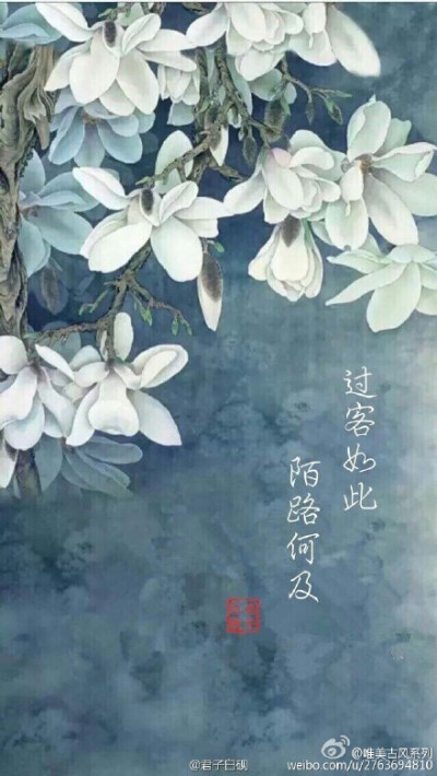 秋 意 凉，坐 等 空 弹 一 曲 殇；雪花飘，遍地竹叶谁作章？