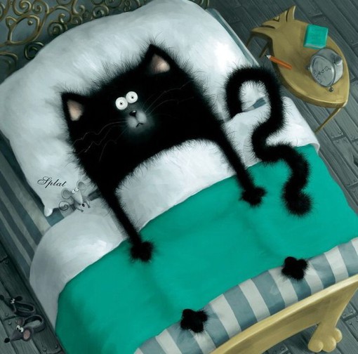 一个人失眠，全世界失眠