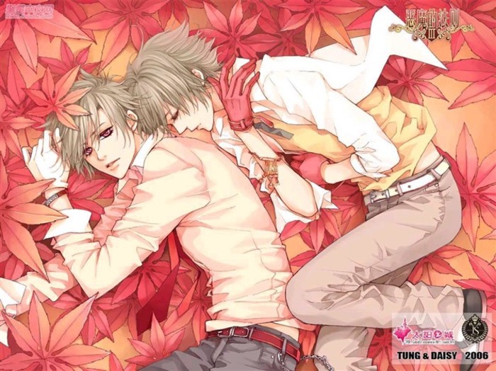 双生，一冷酷，一天真，同样的脸，不同的性格，喜欢同一个人，冷酷的哥哥一反常态的捕获了女孩的心，弟弟祝福他们，为救女孩，葬身火海，，哥哥后悔莫及：“若当初不和你争这一次，求你，能回来吗？”.......