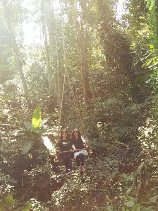 第二站 云南 西双版纳 热带雨林谷的空中旋转秋千 永远记得被野人吓得惊慌失措尖叫满森林跑的两个人 和空中旋转笑中带泪