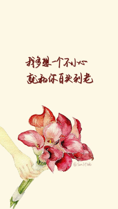 我多想一个不小心，就能和你白头到老。