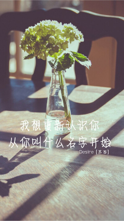 我想重新认识你，从名字开始。