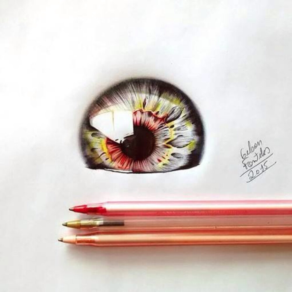 插画师Gelson Fonteles用圆珠笔画的一组眼睛作品，太完美了！