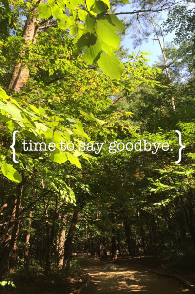 韩国束草之来场森林浴