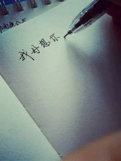 “没想过我们时间的墙像一道蜿蜒的画廊”