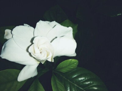 等了三天，只开一半。